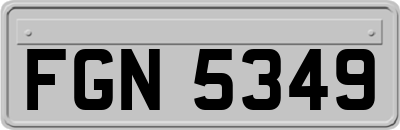 FGN5349