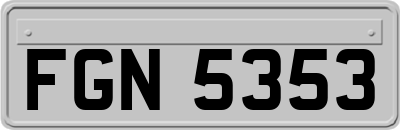 FGN5353