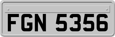 FGN5356