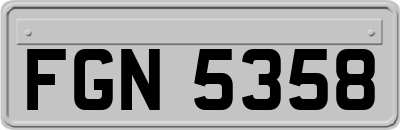 FGN5358