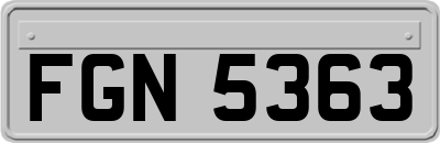 FGN5363