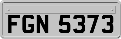 FGN5373