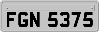 FGN5375