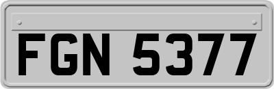 FGN5377