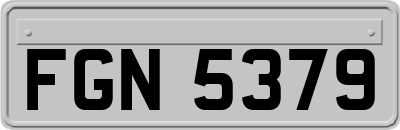FGN5379
