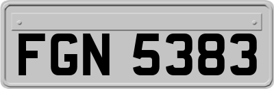 FGN5383