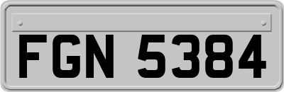 FGN5384