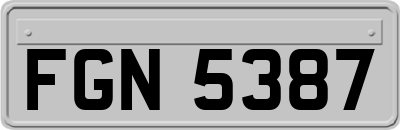 FGN5387