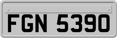 FGN5390