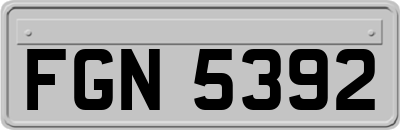 FGN5392
