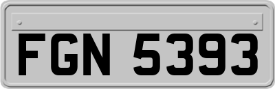 FGN5393