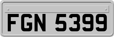 FGN5399