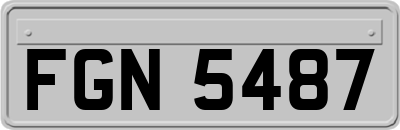 FGN5487