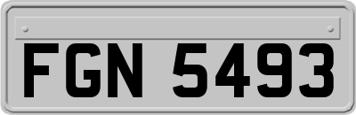 FGN5493