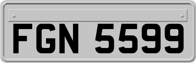 FGN5599