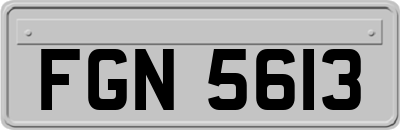 FGN5613
