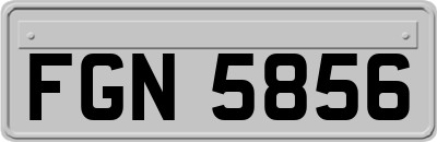 FGN5856