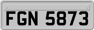 FGN5873