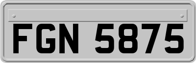 FGN5875