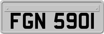 FGN5901