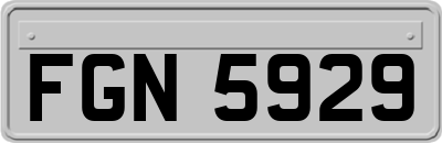 FGN5929