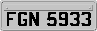 FGN5933