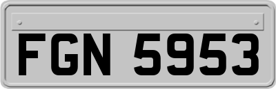 FGN5953