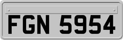FGN5954
