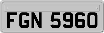 FGN5960