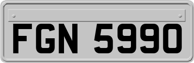 FGN5990