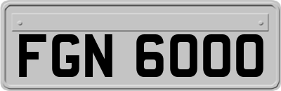 FGN6000
