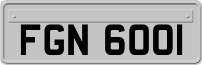 FGN6001