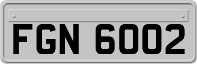 FGN6002