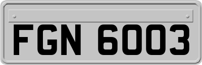 FGN6003