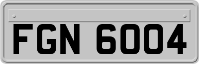 FGN6004