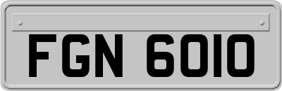 FGN6010