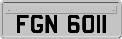 FGN6011