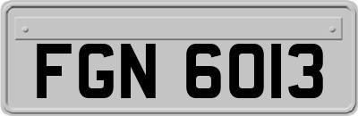 FGN6013