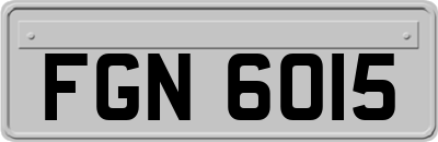 FGN6015