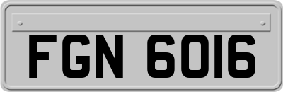 FGN6016