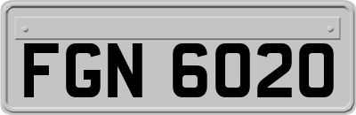 FGN6020