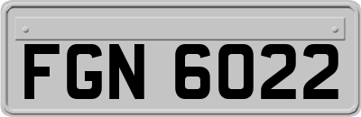 FGN6022