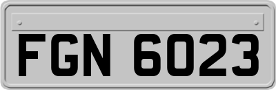 FGN6023