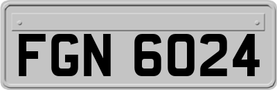 FGN6024