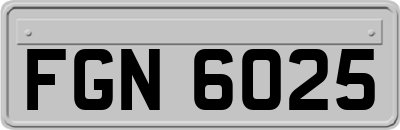 FGN6025