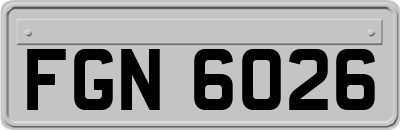 FGN6026