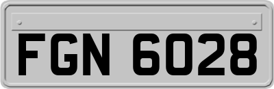FGN6028