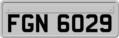 FGN6029