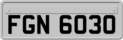FGN6030