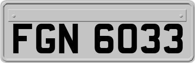 FGN6033